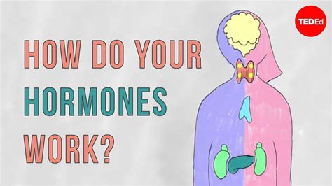 Do hormones work at a distance?