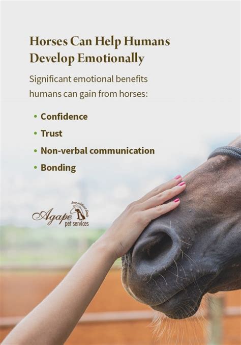 Do horses get emotionally attached to humans?