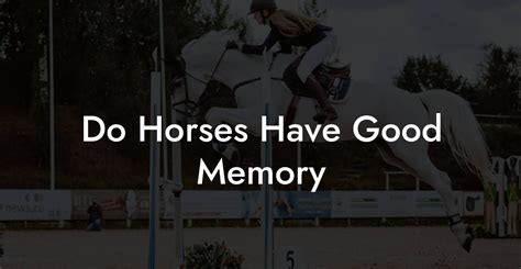 Do horses have a memory?