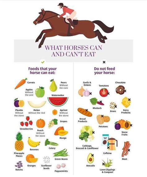 Do horses like eggplant?