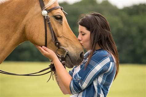 Do horses like human kisses?