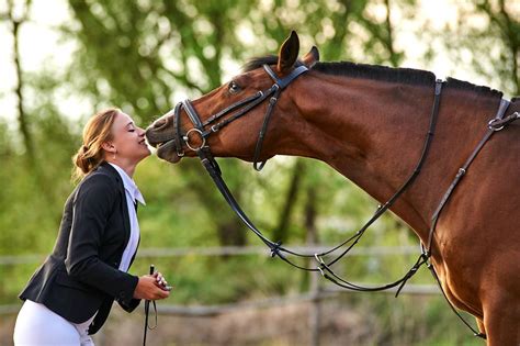 Do horses love their owners like dogs?