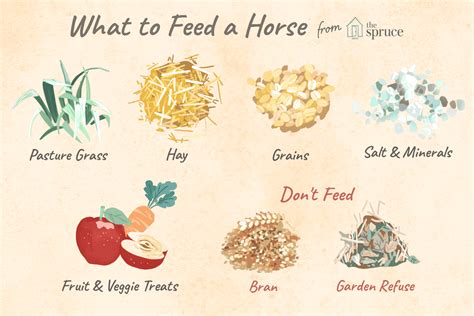 Do horses need to eat?