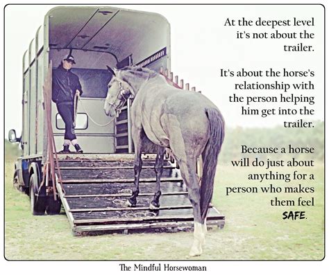 Do horses trust humans?