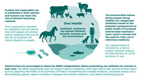 Do humans and animals use the same antibiotics?