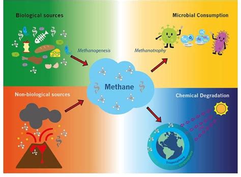 Do humans breathe methane?