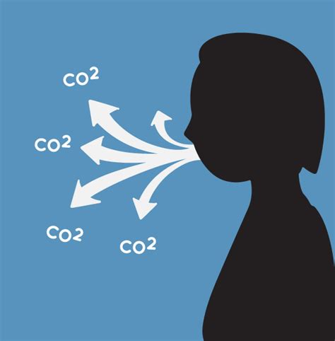 Do humans exhale carbon dioxide?