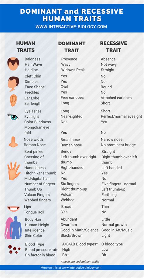 Do humans have a personality?