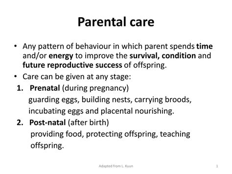 Do humans have parental care?