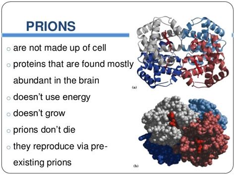 Do humans have prions?