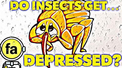 Do insects get depressed?