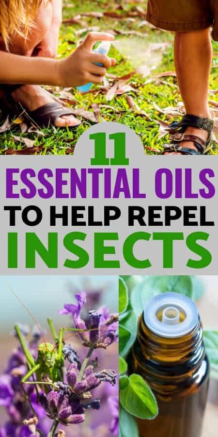 Do insects like lemon essential oil?