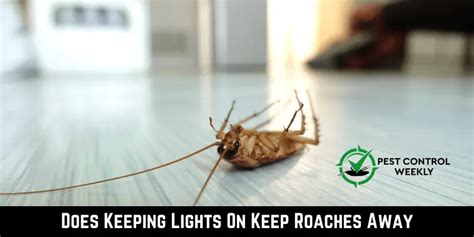 Do lights on keep roaches away?