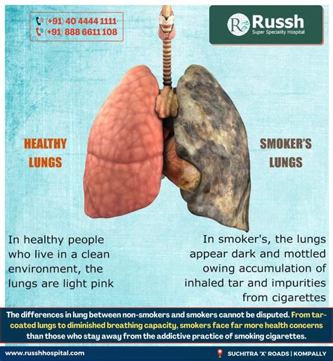Do lungs heal after smoking?