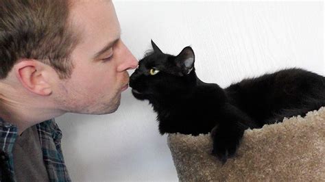 Do male cats like kisses?