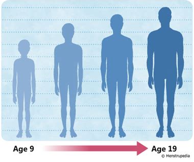 Do men have a growth spurt at 25?