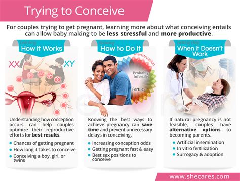 Do men need to take anything when trying to conceive?