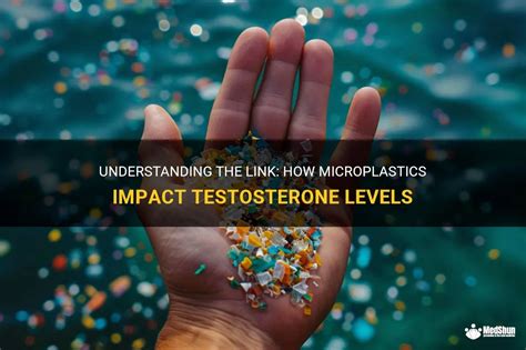 Do microplastics lower testosterone?