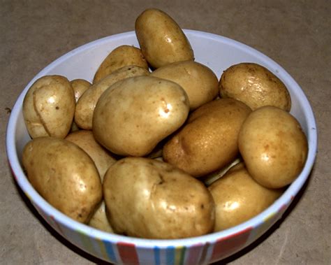 Do mini potatoes need to be refrigerated?