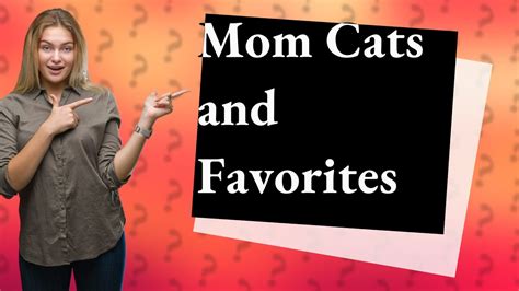 Do mom cats have a favorite kitten?