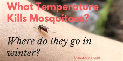 Do mosquitoes hate cold?