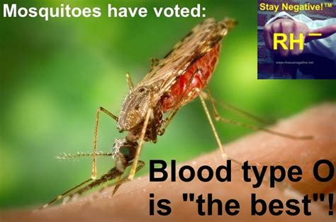 Do mosquitoes prefer a certain blood type?