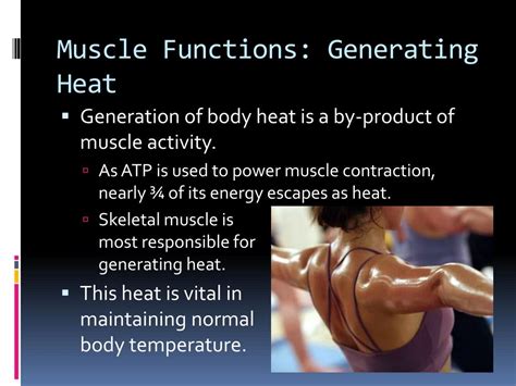Do muscles generate heat?