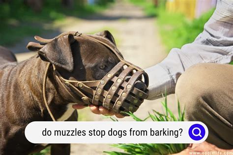Do muzzles stop barking?