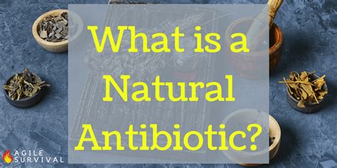 Do natural antibiotics exist?