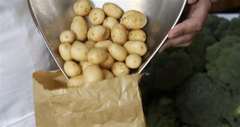 Do new potatoes have less starch?