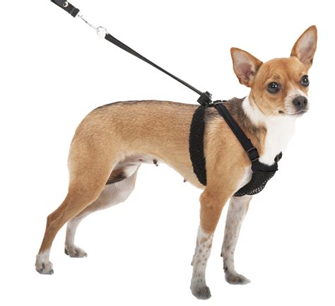 Do no-pull dog harnesses really work?