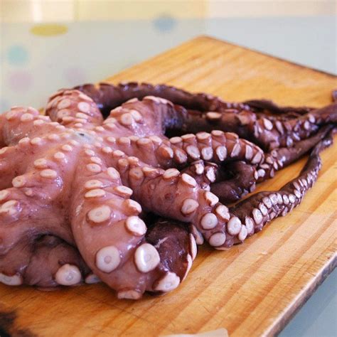 Do octopus feel pain when boiled?