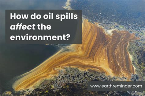 Do oil spills affect plants?