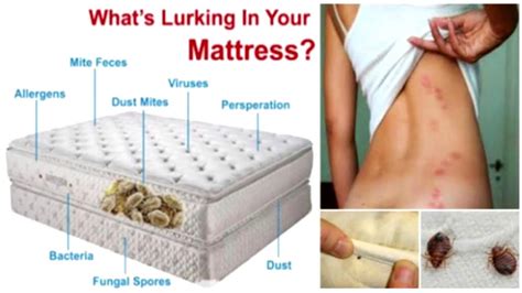 Do old mattresses cause allergies?