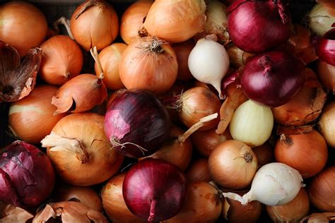 Do onions have cadmium?