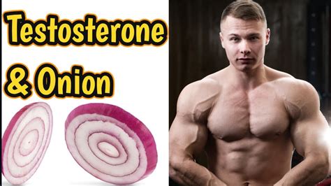 Do onions increase testosterone?