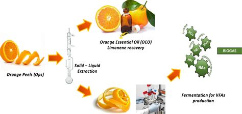 Do orange peels produce methane?