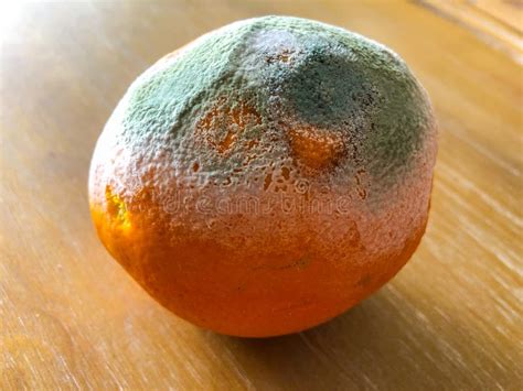 Do oranges rot fast?