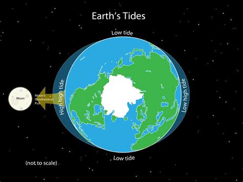 Do other planets ever influence tides on Earth?