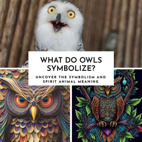 Do owls represent intuition?