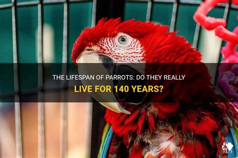 Do parrots live for 140 years?