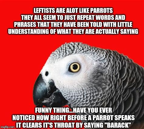Do parrots repeat words?