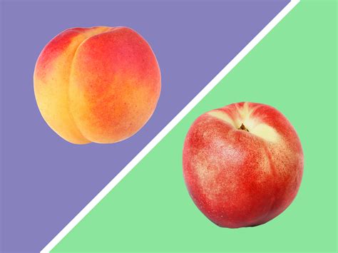 Do peaches or nectarines have fuzz?