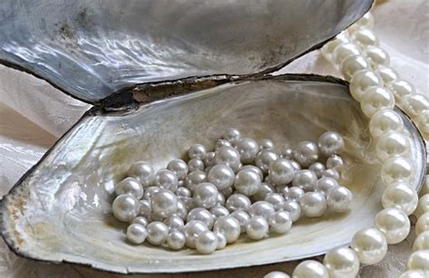 Do pearls hold DNA?