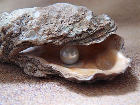 Do pearls last a lifetime?