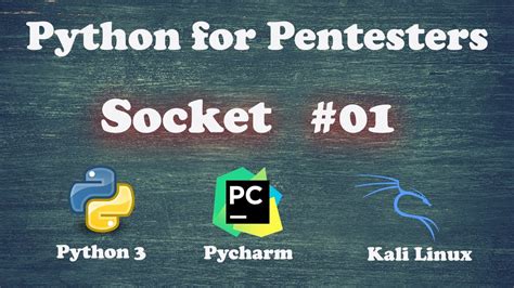 Do pentesters use Python?