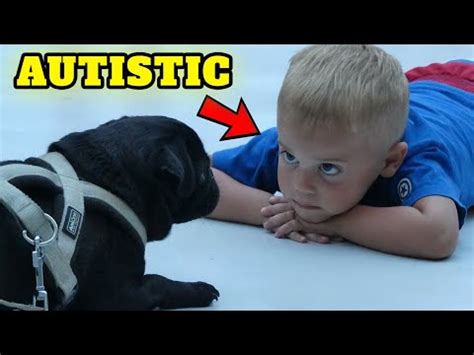 Do people with autism love dogs?