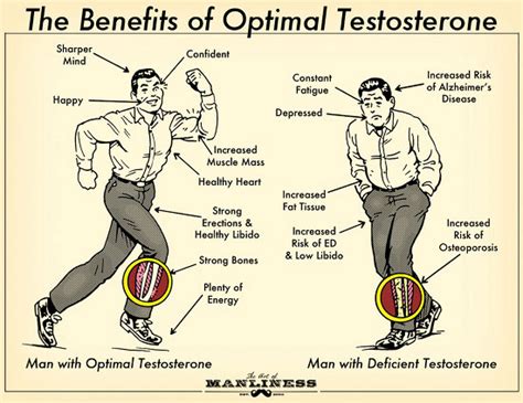 Do people with high testosterone sleep more?