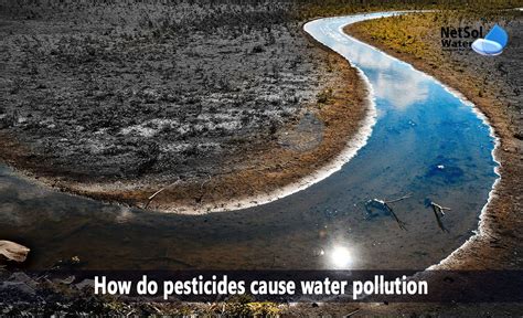 Do pesticides stay in water?