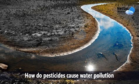 Do pesticides wash off with water?